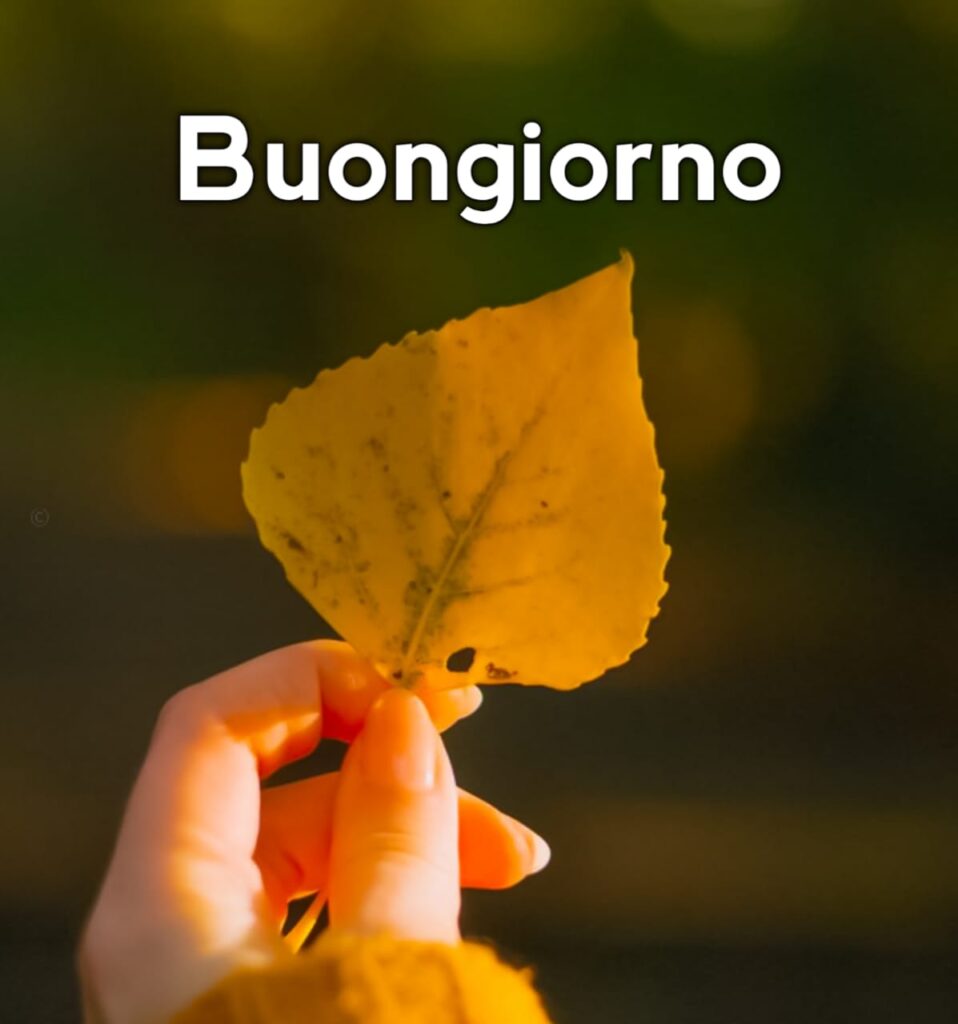 immagini buongiorno gratis per whatsapp

