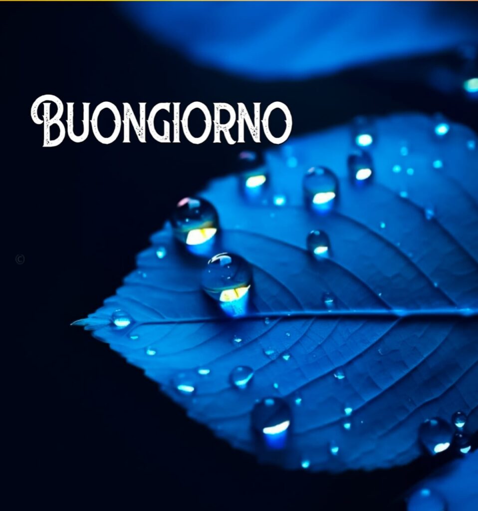 immagini buongiorno gratis per whatsapp

