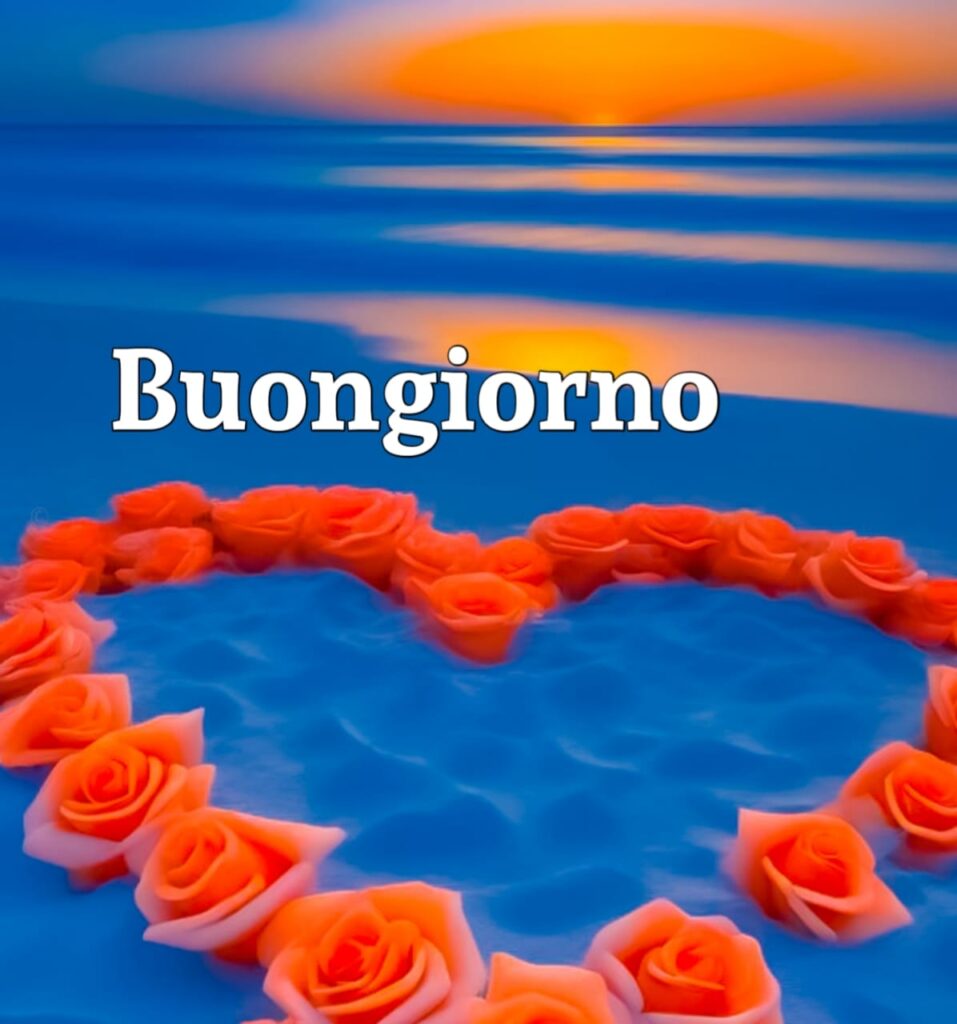 buongiorno  Originale