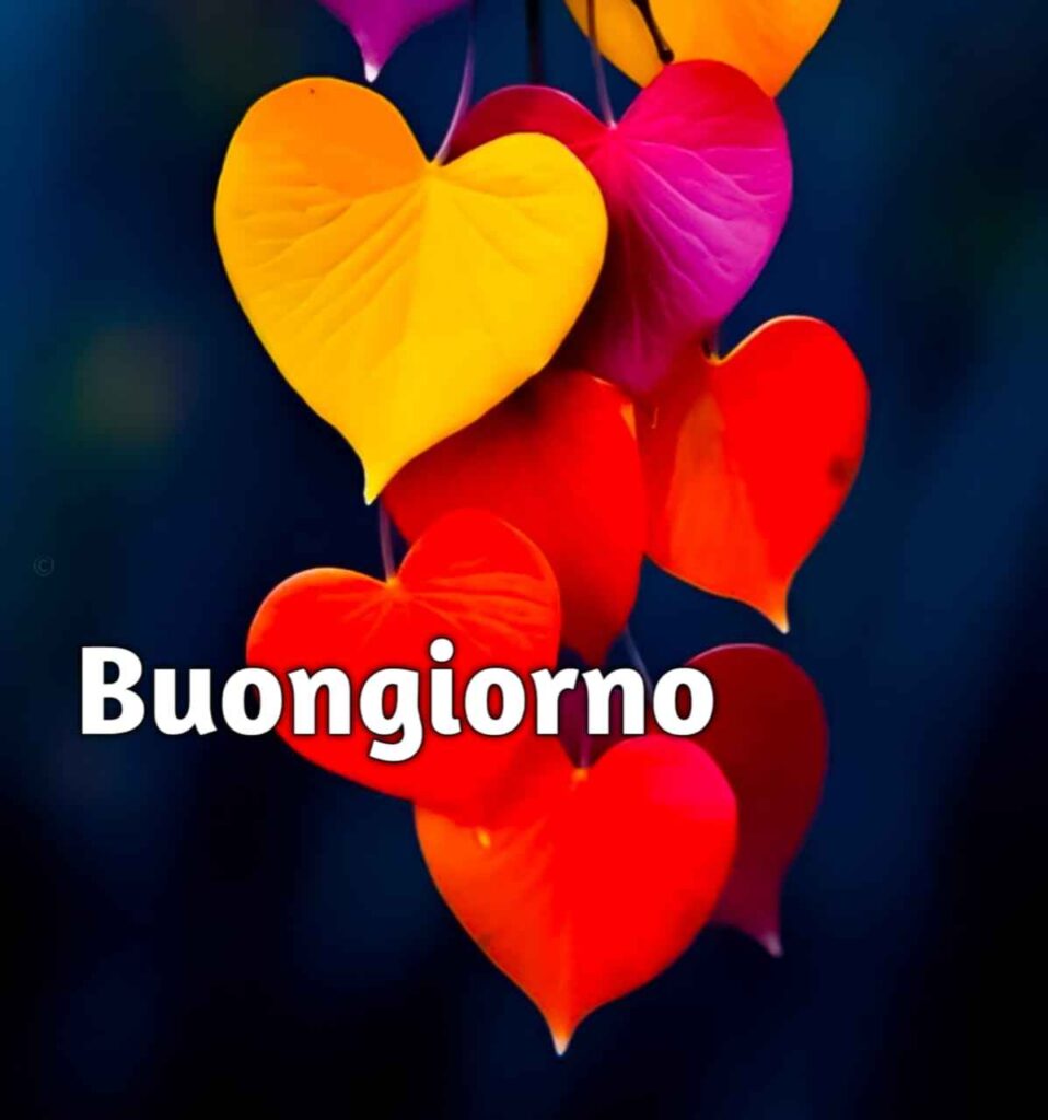 link del buongiorno nuovissimi