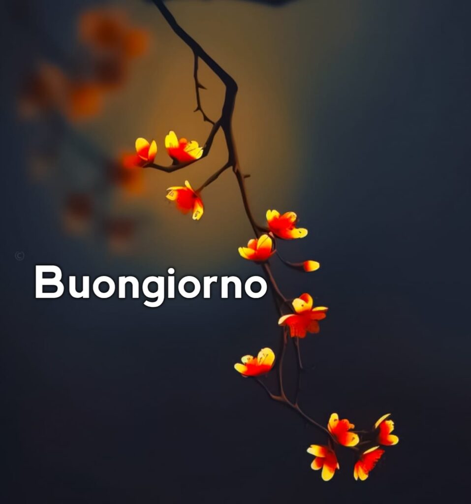 buongiorno  Originale