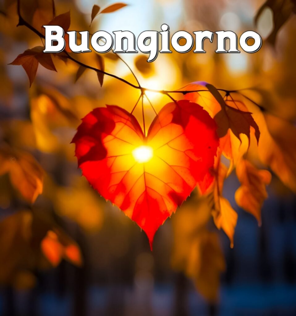 immagini buongiorno gratis per whatsapp

