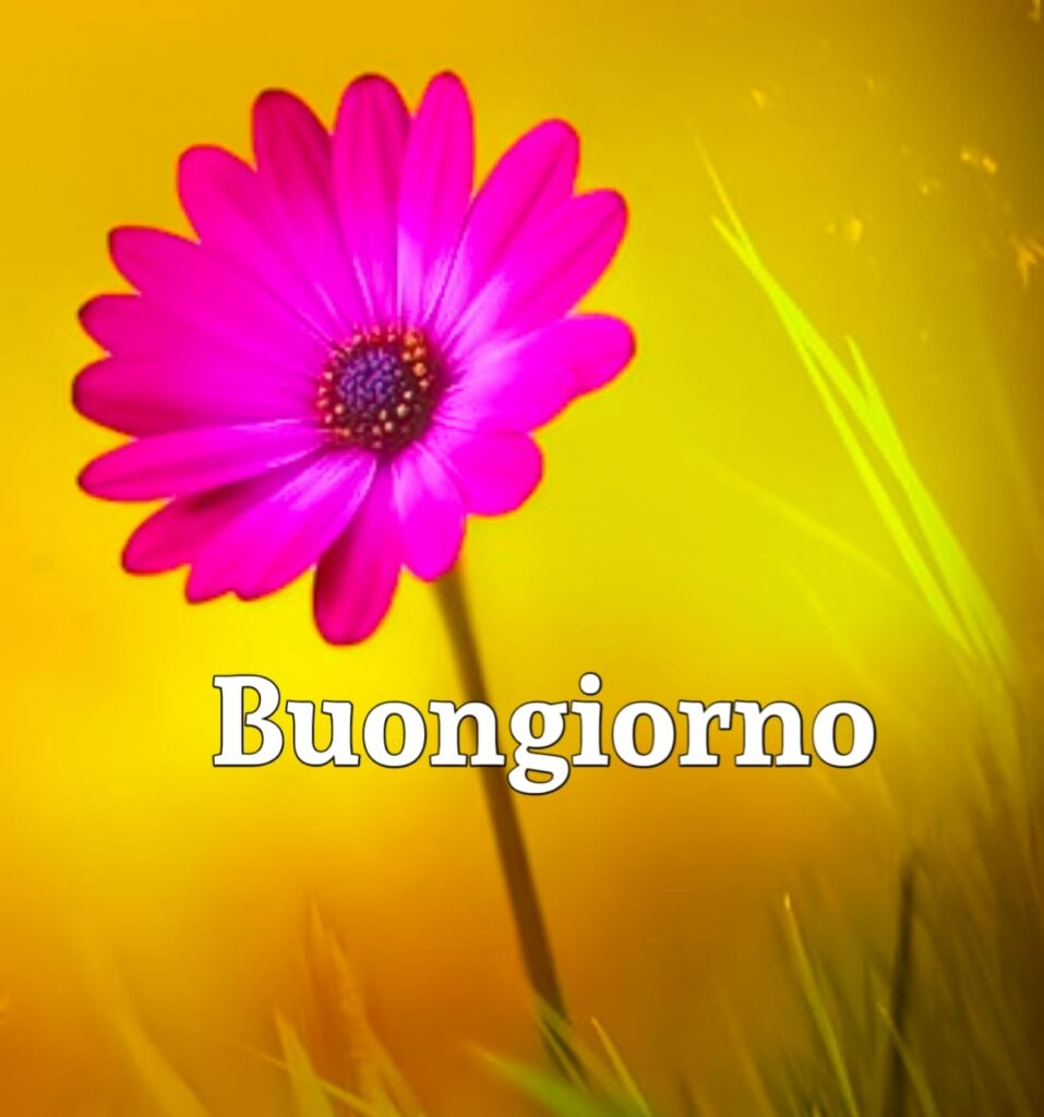 buongiorno  Originale HD