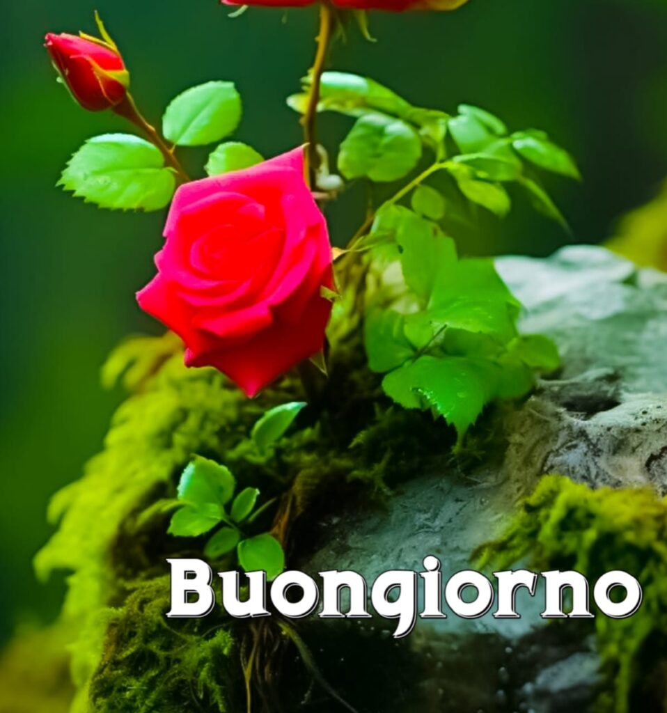 immagini buongiorno gratis per whatsapp

