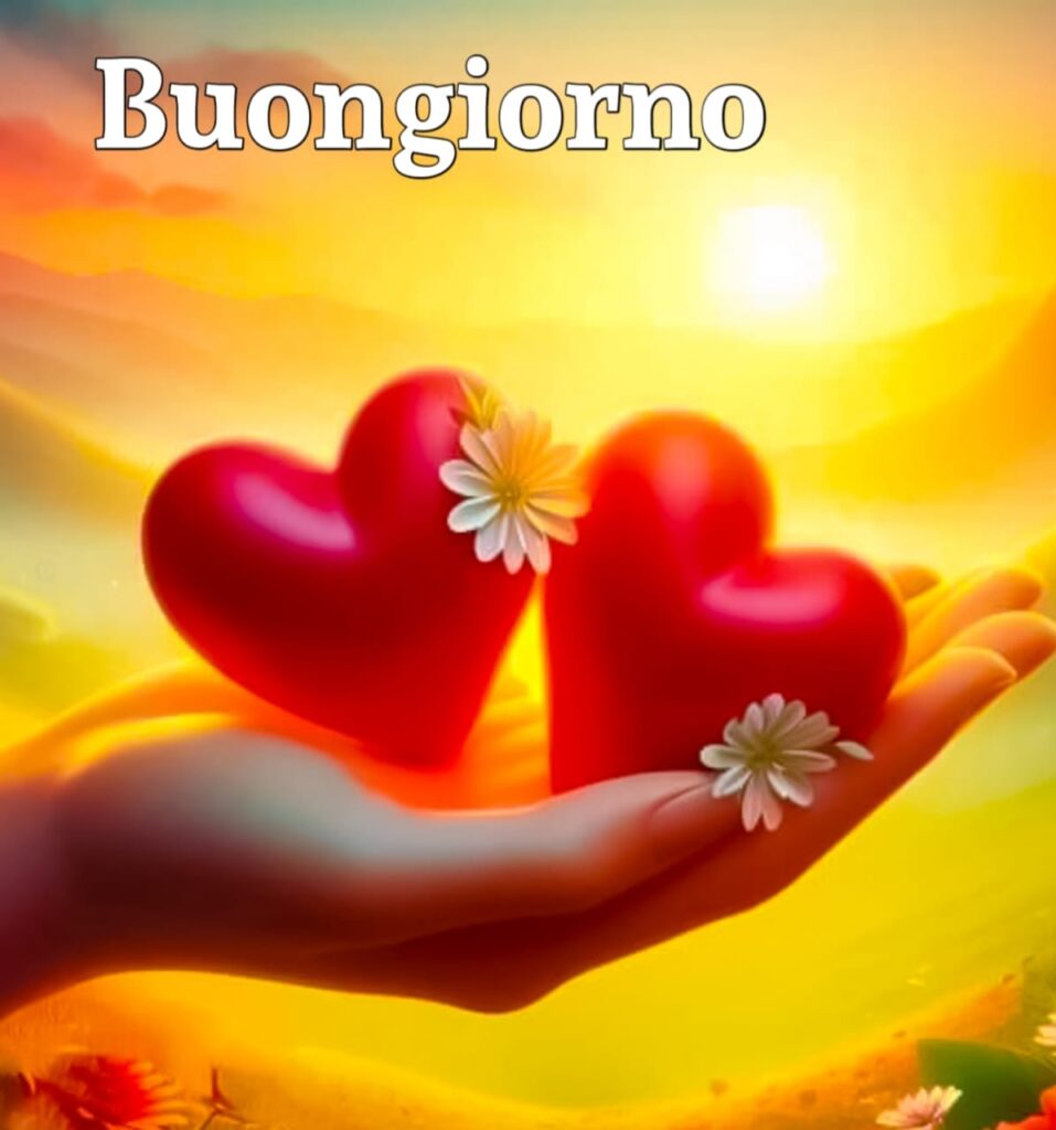 buongiorno  Originale