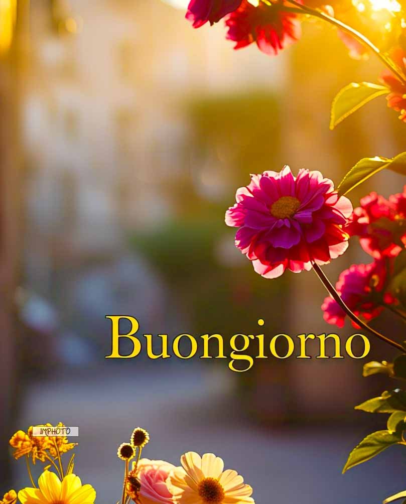 buon giorno immagini nuove-67